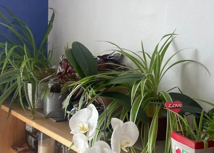 Jolie Avec Piscine Et Vue Panoramique Sur Le Golf Vila *