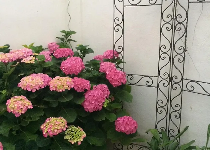 Jolie Avec Piscine Et Vue Panoramique Sur Le Golf