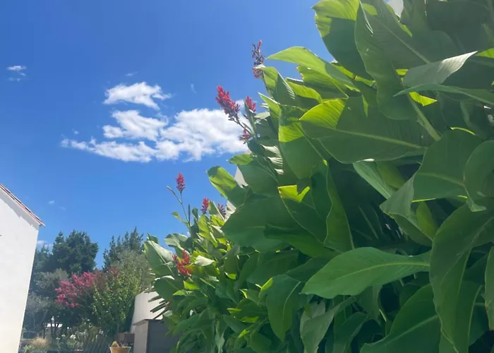 Jolie Avec Piscine Et Vue Panoramique Sur Le Golf *